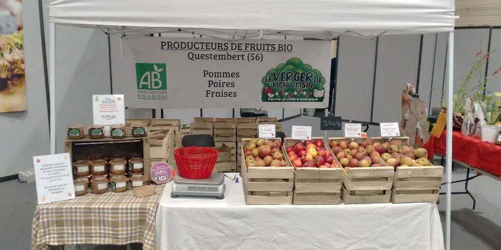  My Neighbour's Orchard (Bretagne, Morbihan)