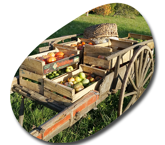  La Ferme de San (Auvergne-Rhône-Alpes, Isère)
