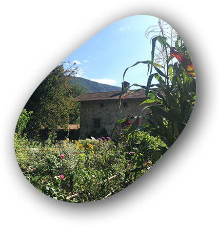  La Ferme de San (Auvergne-Rhône-Alpes, Isère)