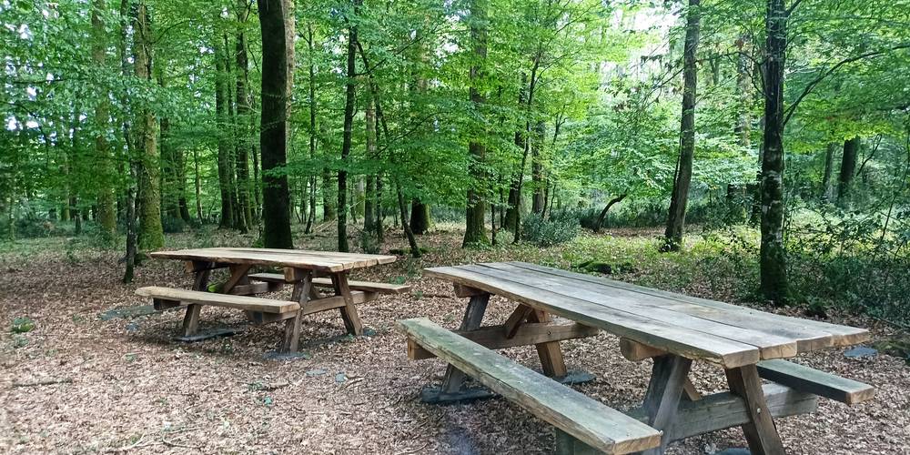 Aire de pique nique dans une parcelle boisée privée à 400 m du gîte -  Gîte des Bois (Pays de la Loire, Loire-Atlantique)
