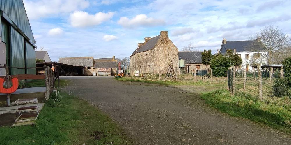  Kermorg'ane équicie (Bretagne, Côtes-d'Armor)