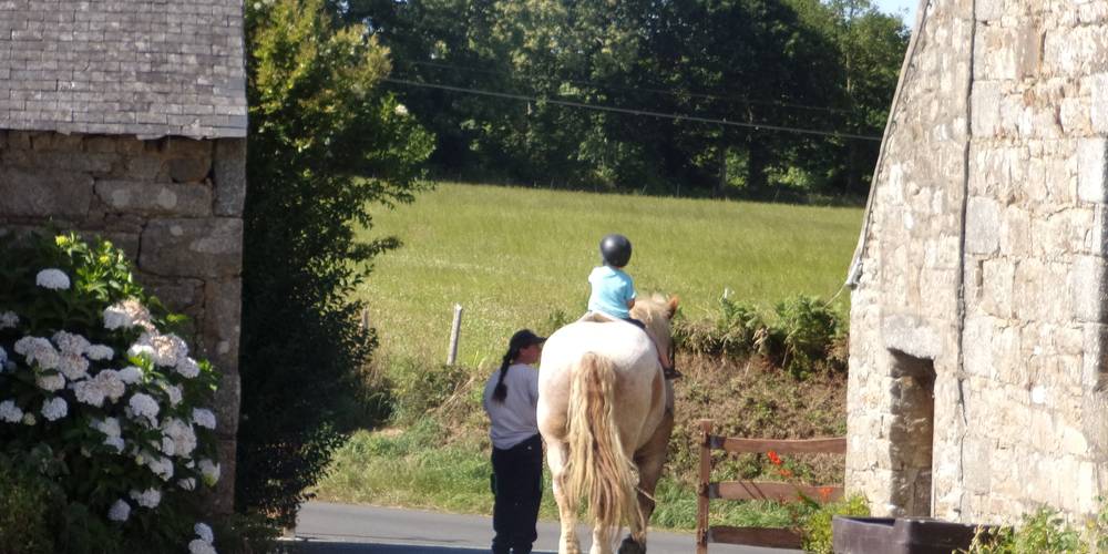  Kermorg'ane équicie (Bretagne, Côtes-d'Armor)
