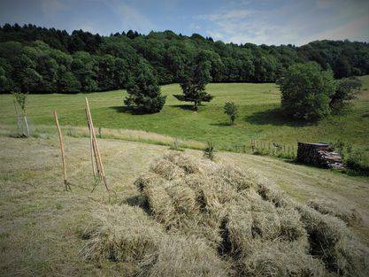  Atelier l'Arbre Lune (Bourgogne-Franche-Comté, Jura)