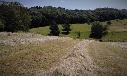  Atelier l'Arbre Lune (Bourgogne-Franche-Comté, Jura)