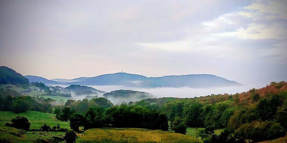  Atelier l'Arbre Lune (Bourgogne-Franche-Comté, Jura)