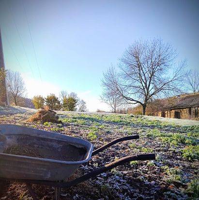  Atelier l'Arbre Lune (Bourgogne-Franche-Comté, Jura)