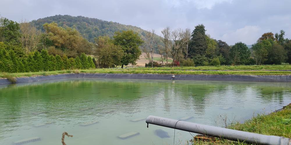  Le Moulin aux Ecrevisses (Grand Est, Haute-Marne)