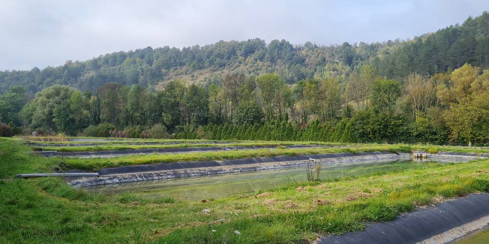  Le Moulin aux Ecrevisses (Grand Est, Haute-Marne)