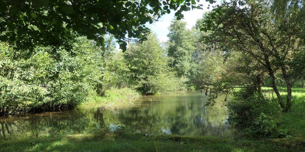  Le Moulin aux Ecrevisses (Grand Est, Haute-Marne)