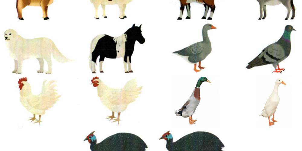  L'Arche Paysanne (Île-de-France, Seine-et-Marne)