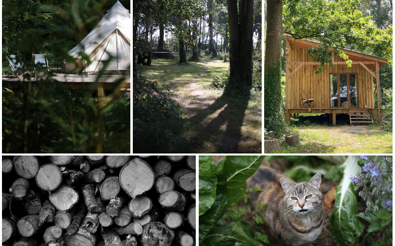  BOEM (Bretagne, Ille-et-Vilaine)