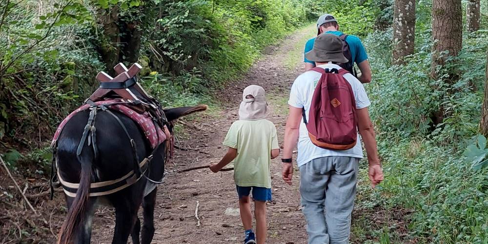 Gîte la Roche (Auvergne-Rhône-Alpes, Puy-de-Dôme)