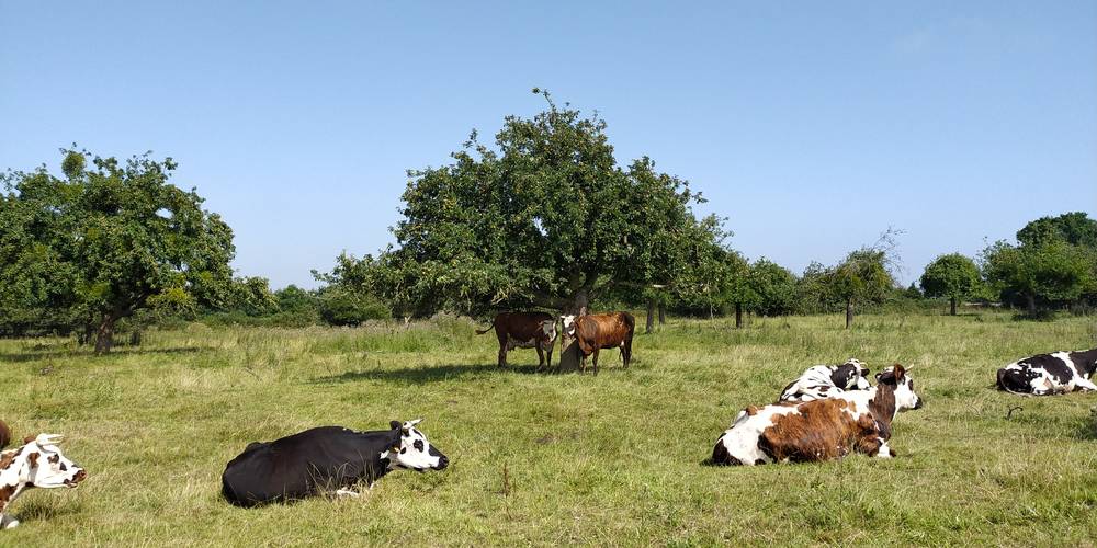  GAEC des Goublayes (Bretagne, Côtes-d'Armor)