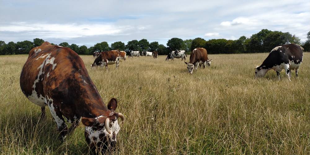  GAEC des Goublayes (Bretagne, Côtes-d'Armor)