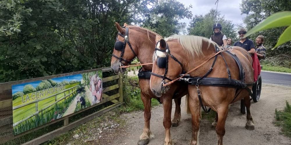 La Centaurine (Bretagne, Côtes-d'Armor)