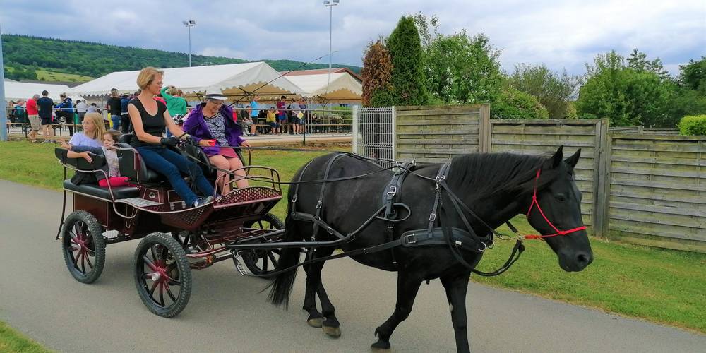 balade en attelage -  Equi'libre le cheval médiateur (Bourgogne-Franche-Comté, Doubs)
