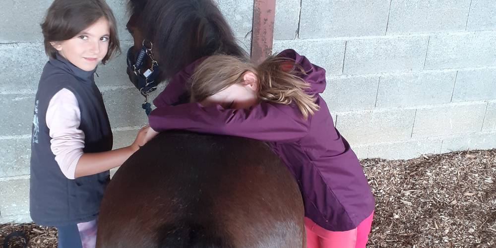pansage et câlin -  Equi'libre le cheval médiateur (Bourgogne-Franche-Comté, Doubs)