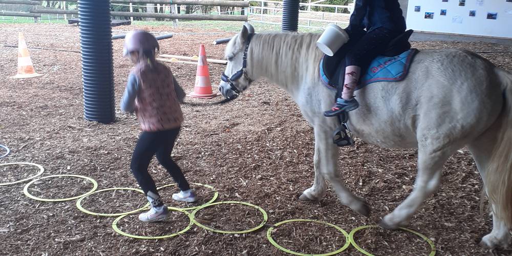 équimotricité(c) -  Equi'libre le cheval médiateur (Bourgogne-Franche-Comté, Doubs)