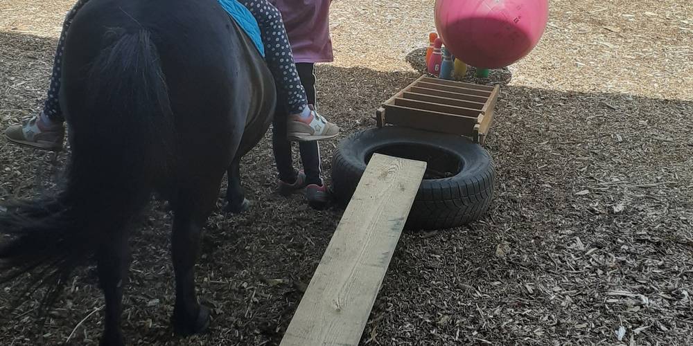 équimotricité(c) -  Equi'libre le cheval médiateur (Bourgogne-Franche-Comté, Doubs)