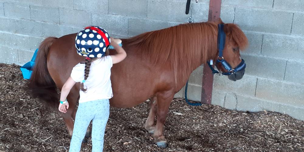 pansage -  Equi'libre le cheval médiateur (Bourgogne-Franche-Comté, Doubs)