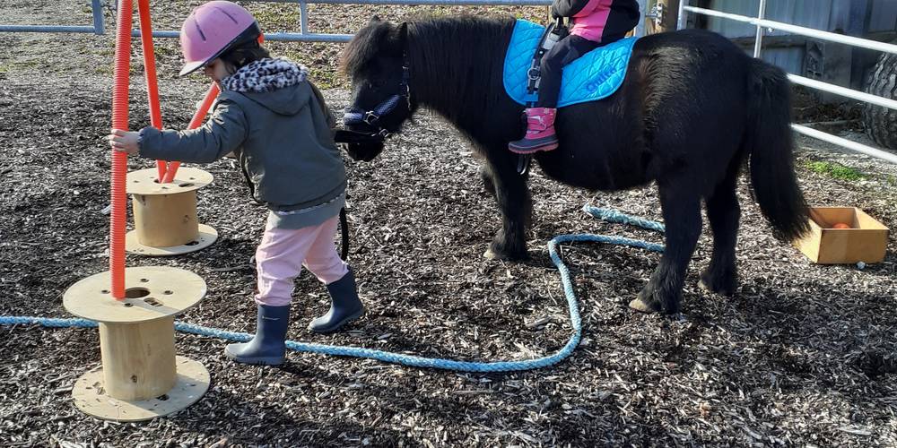 équimotricité(c) -  Equi'libre le cheval médiateur (Bourgogne-Franche-Comté, Doubs)