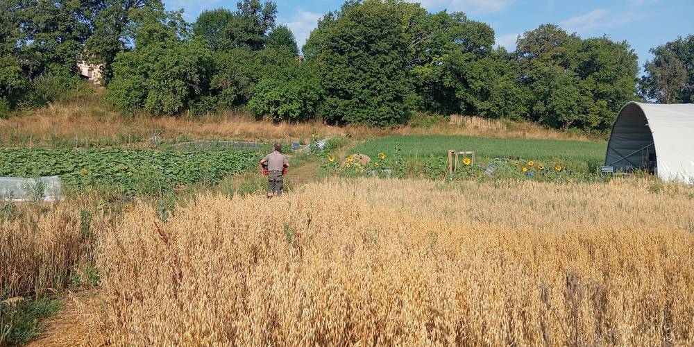  Les Jardins du Batut (Occitanie, Aveyron)