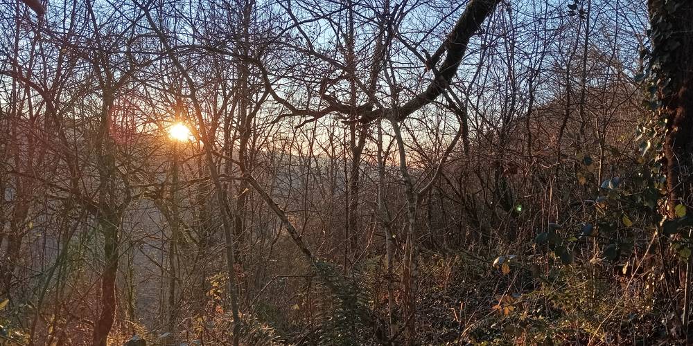  Les Jardins du Batut (Occitanie, Aveyron)
