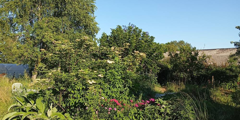  Les Jardins du Batut (Occitanie, Aveyron)