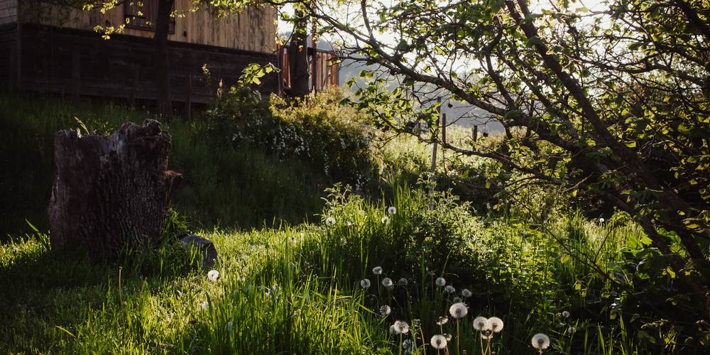  Camping-gîte de la Tuilerie (Auvergne-Rhône-Alpes, Rhône)