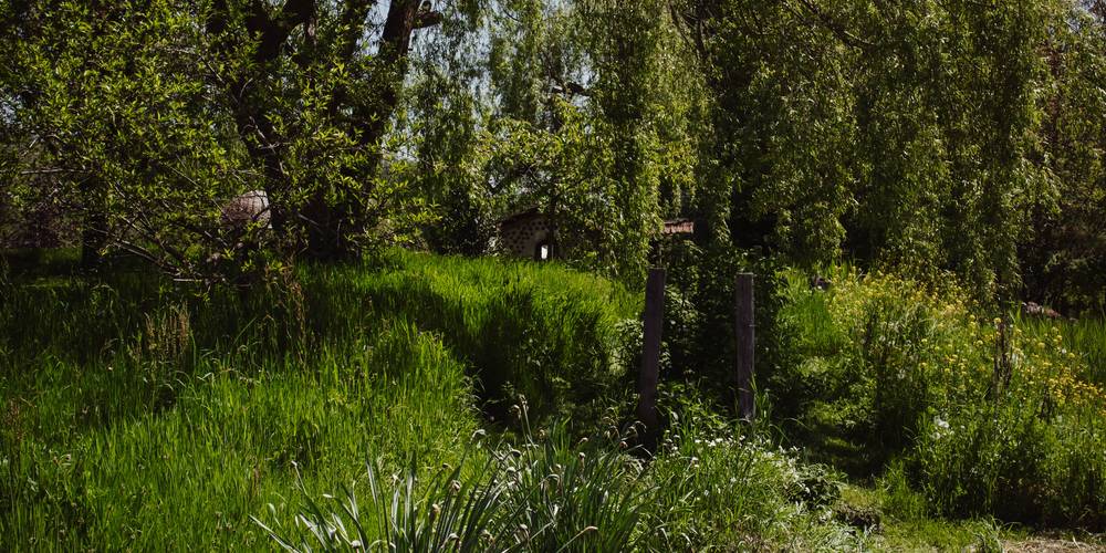 potager -  Camping-gîte de la Tuilerie (Auvergne-Rhône-Alpes, Rhône)