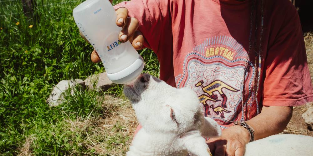  Camping-gîte de la Tuilerie (Auvergne-Rhône-Alpes, Rhône)