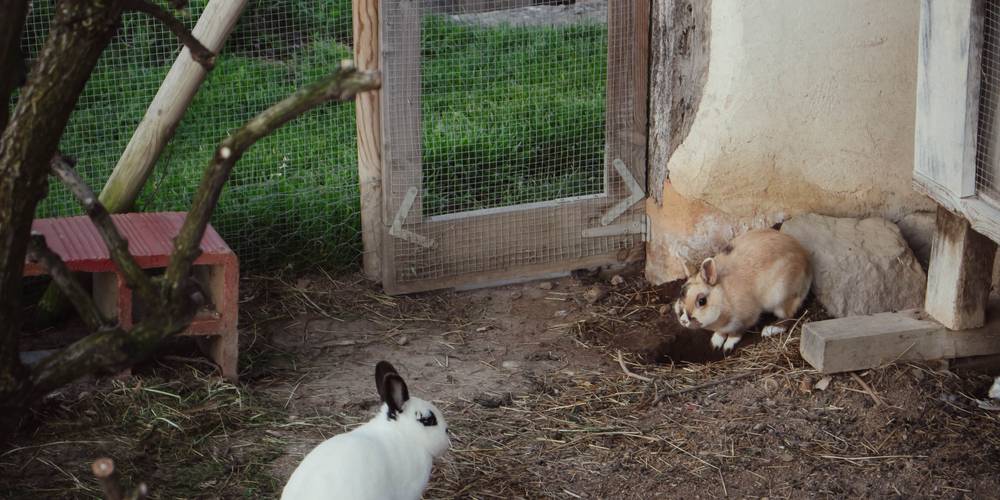  Camping-gîte de la Tuilerie (Auvergne-Rhône-Alpes, Rhône)