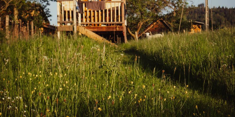  Camping-gîte de la Tuilerie (Auvergne-Rhône-Alpes, Rhône)