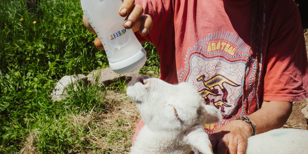  Camping-gîte de la Tuilerie (Auvergne-Rhône-Alpes, Rhône)