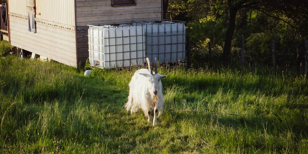  Camping-gîte de la Tuilerie (Auvergne-Rhône-Alpes, Rhône)