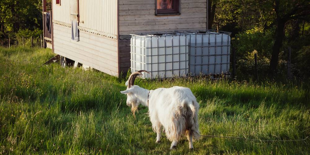  Camping-gîte de la Tuilerie (Auvergne-Rhône-Alpes, Rhône)