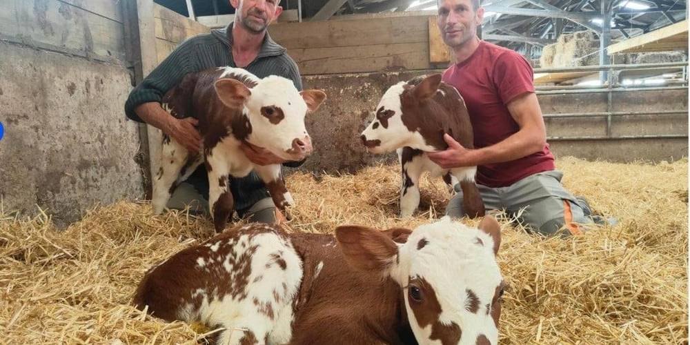  Les Bio Prés (Hauts-de-France, Pas-de-Calais)