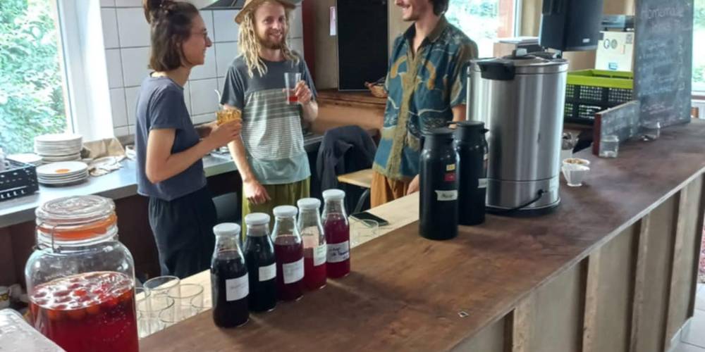 Salle et cuisine -  L'île de Bambecque (Hauts-de-France, Nord)