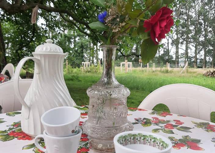 Sous le noyer -  L'île de Bambecque (Hauts-de-France, Nord)