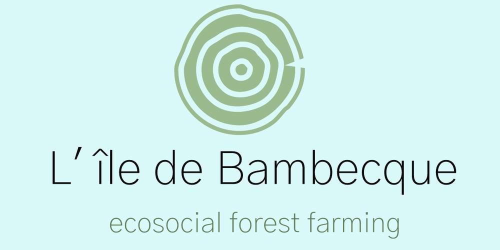 C'est nous! -  L'île de Bambecque (Hauts-de-France, Nord)