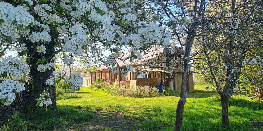  La petite ferme des Ifs (Normandie, Eure)