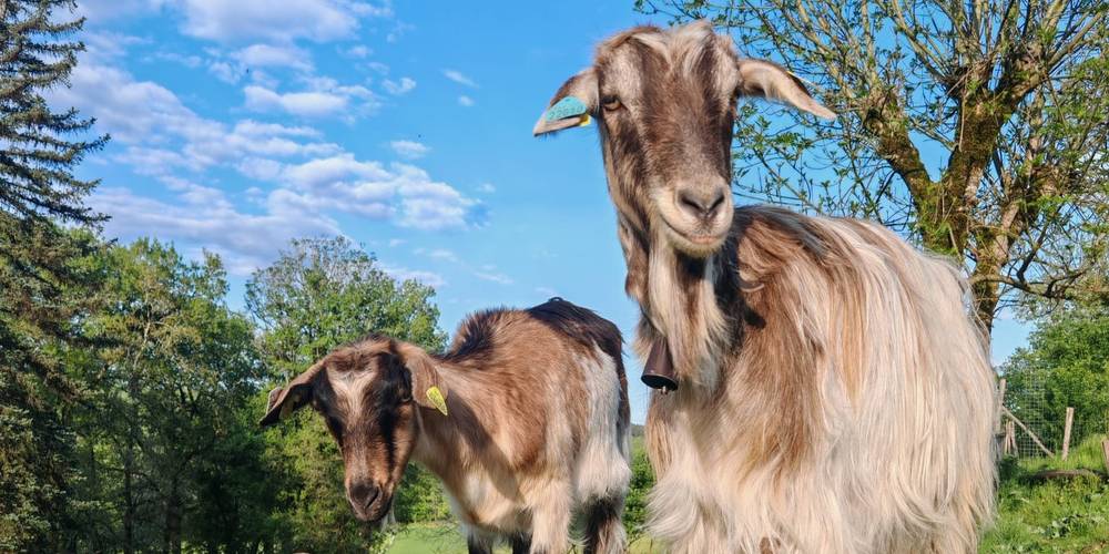  La Ferme de Fouliouze (Nouvelle-Aquitaine, Dordogne)