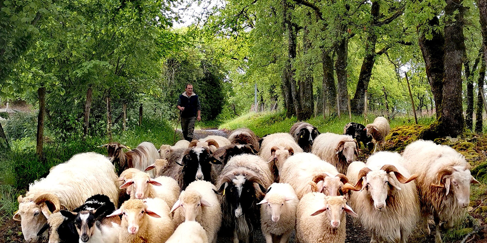  La Ferme de Fouliouze (Nouvelle-Aquitaine, Dordogne)
