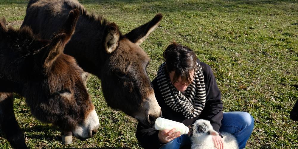  A L'ENTOUR (Pays de la Loire, Loire-Atlantique)