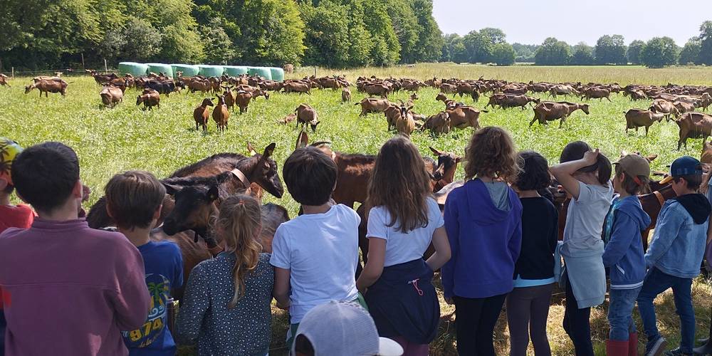  Ferme de la chèvrie (Bretagne, Ille-et-Vilaine)