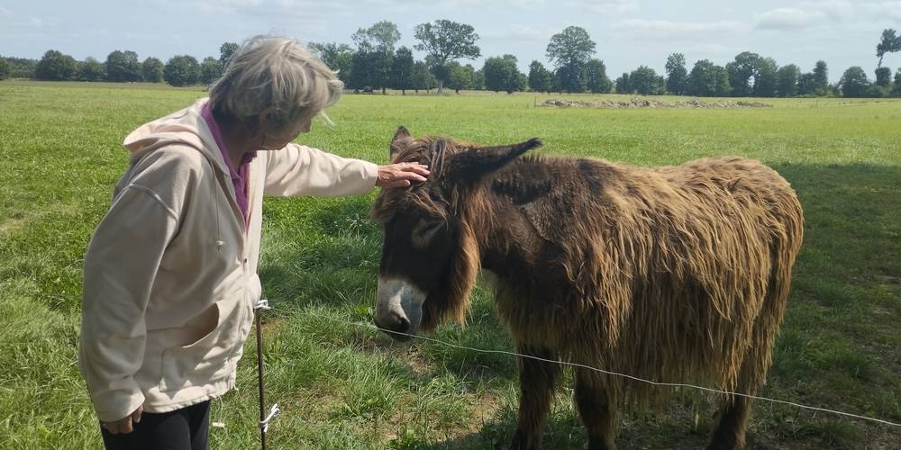  Ferme de la chèvrie (Bretagne, Ille-et-Vilaine)