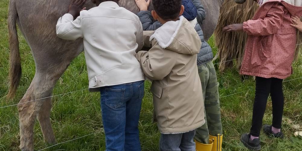  Ferme de la chèvrie (Bretagne, Ille-et-Vilaine)
