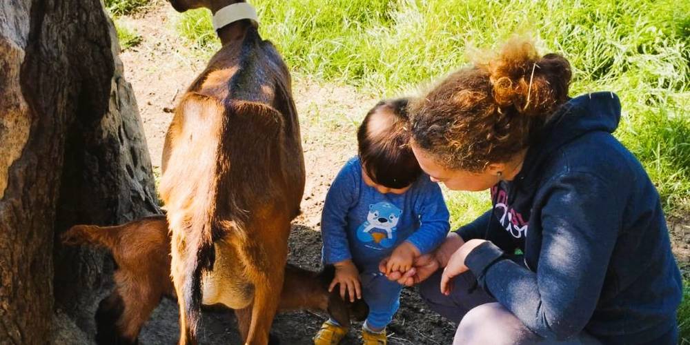  Ferme de la chèvrie (Bretagne, Ille-et-Vilaine)