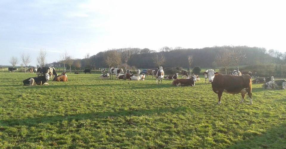  EARL du Fil d'Or (Hauts-de-France, Oise)