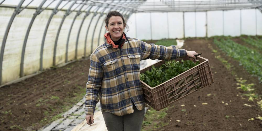  EARL du Fil d'Or (Hauts-de-France, Oise)